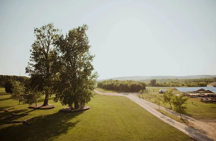 O experiență de festival sustenabilă la Electric Castle 2023